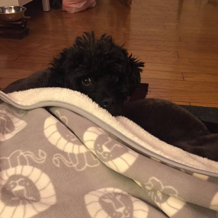 1a6446d4 936b 476e 9dfd 9d248a4b66bd