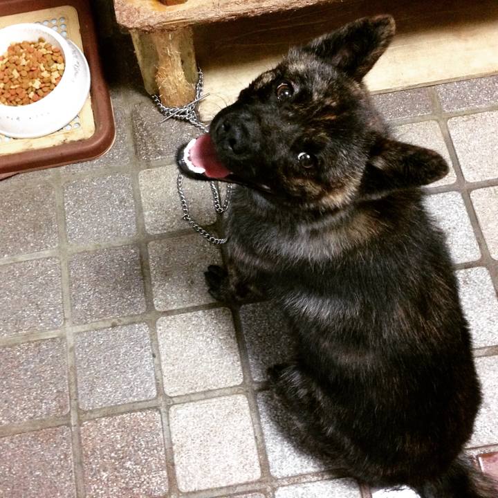 1a646695 de84 4338 b89b fcdad56fc4c9