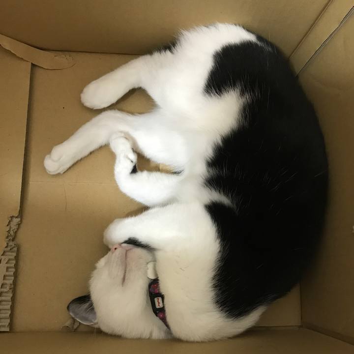 1a64a69d ea07 4139 a941 383b9bdc6b70