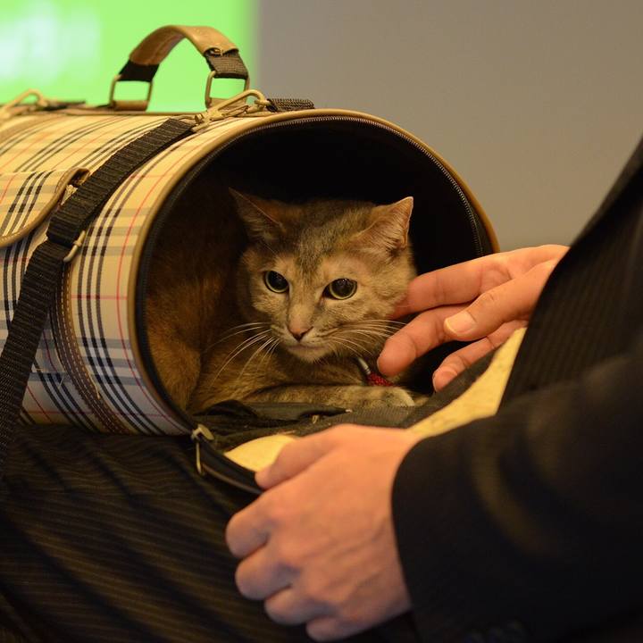 1a64c396 ec04 4dce 906b 16afa507e1a6