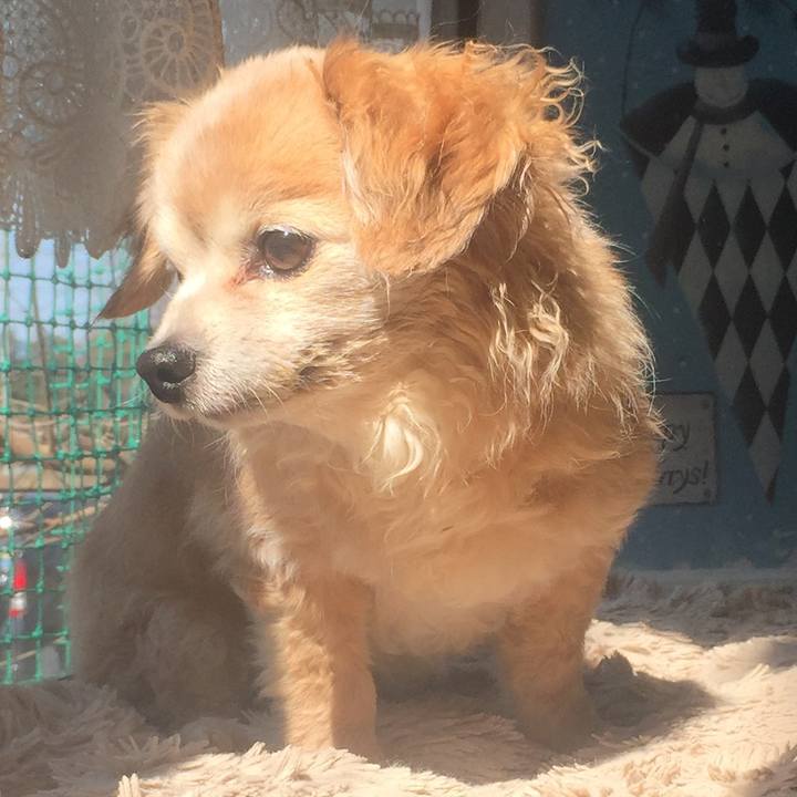 1a6587b0 f2b3 4a2f bc69 78e0fb707e4a