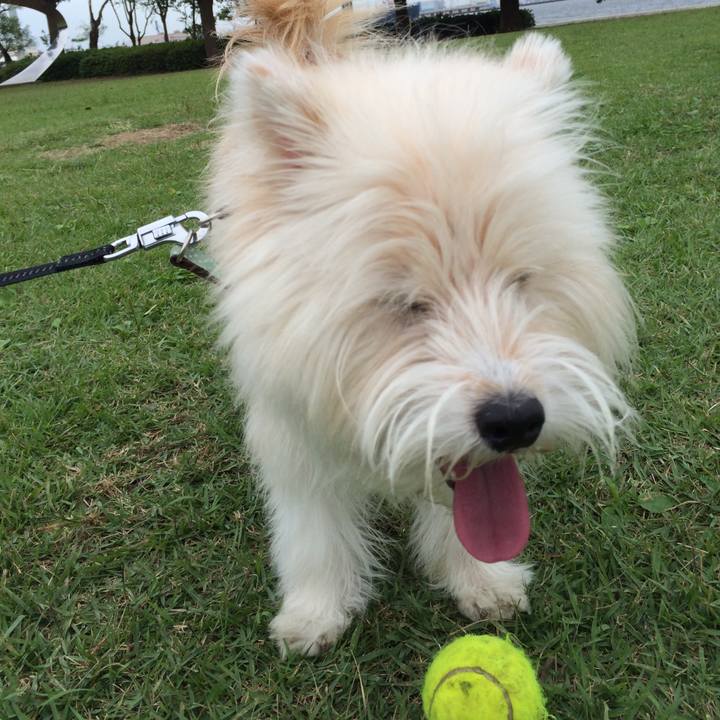 1a65ad5e a0bc 4258 a99a d42c57cd26bb