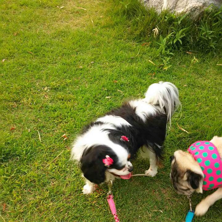 1a66fc03 d0d6 4a08 8d34 cad97ea7da44