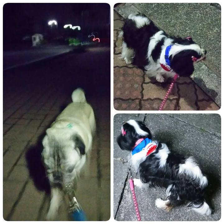 1a675a1c 899c 41e2 9672 b80132168855