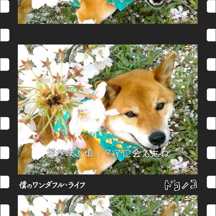 1a677e3c c840 4d77 ad08 e2ecbac87805