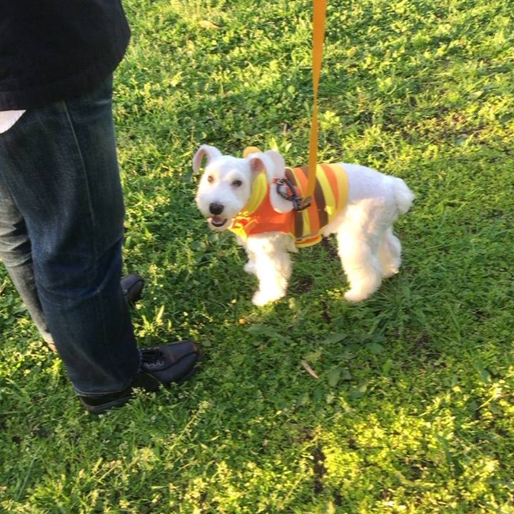 1a67a395 5a48 4c82 b1c0 655d1c703a54