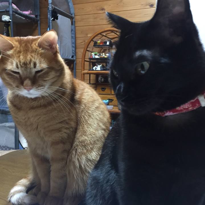 1a67f2ae dc20 448d 851e b91c06af4428