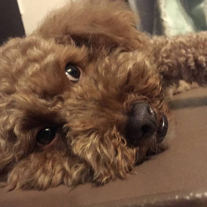 1a686e2f 35c2 44a8 ae7a 39ab99ba56b8