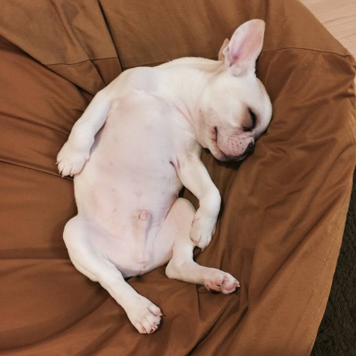 1a6889f9 1542 4f2c b54e a4d2d84c4f5e