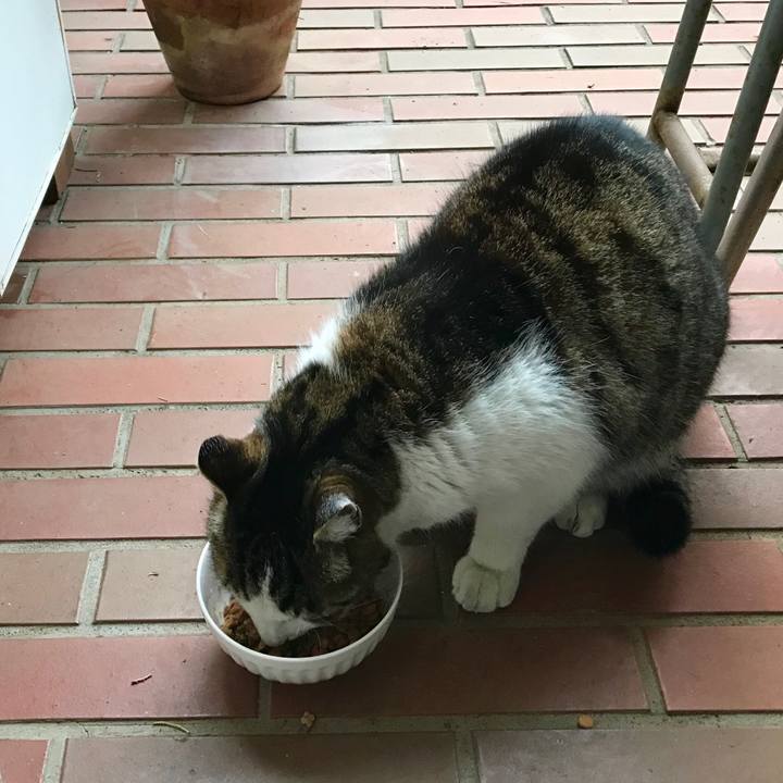 1a68b148 27ad 45a0 bc14 85549f6af7ab