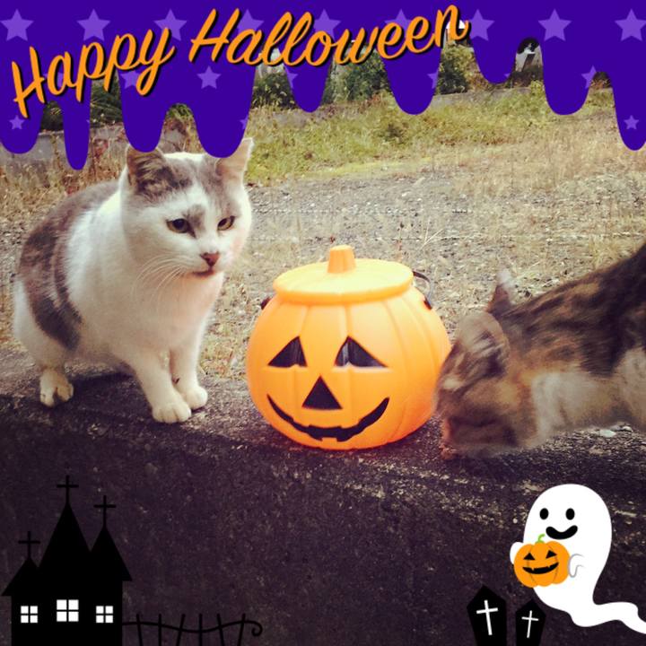 1a68c51e 9c88 4f38 bf3a caa66db48fdc