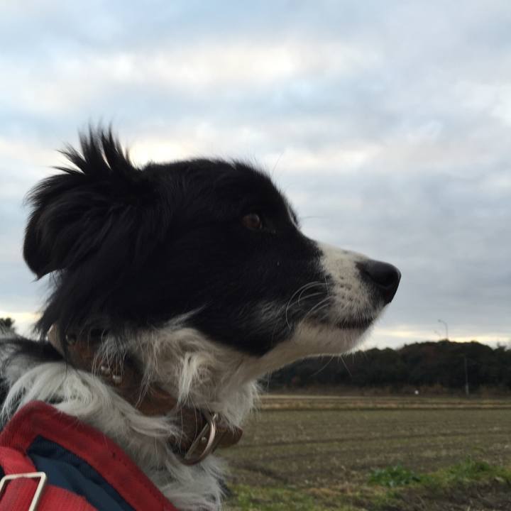 1a69c6b5 7a2b 4012 837d 094422f47384