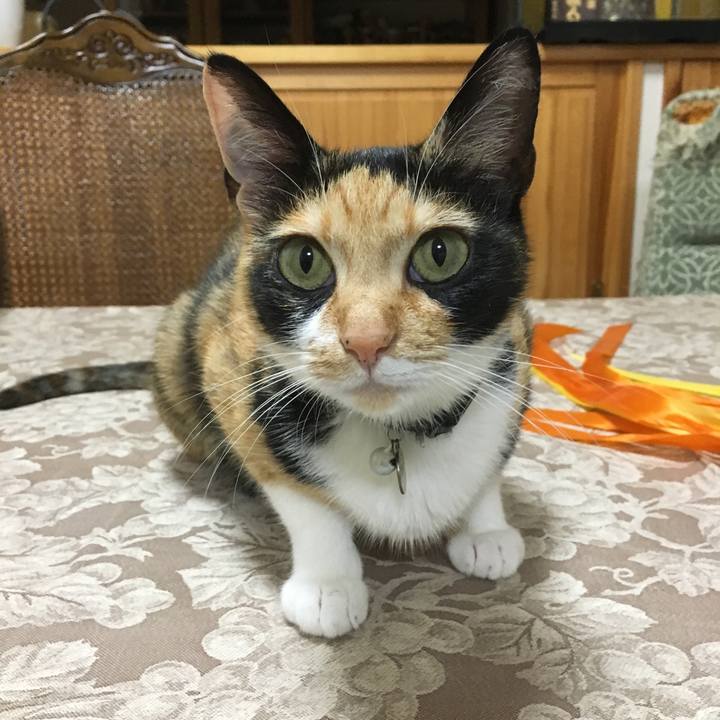 1a69cba9 9e83 4b1e 9249 e5bd5b9cca82