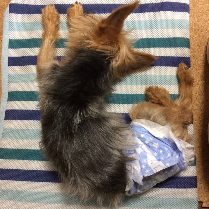 1a69f24c 4079 453a bee3 abb86a2873db