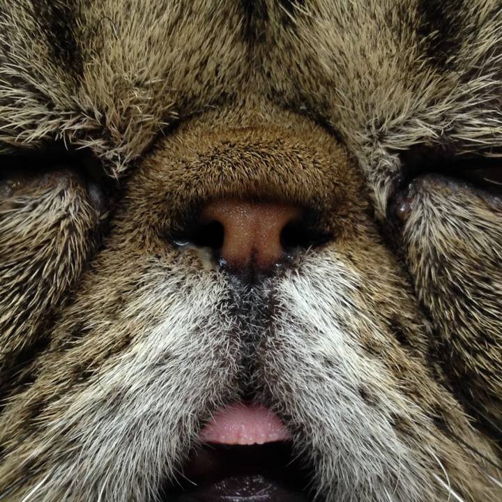 1a6a167a 99aa 402b a5c0 87c36443f758