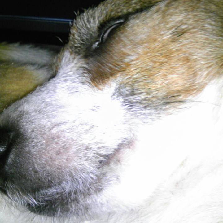 1a6a4d39 7e31 4efb 9fc5 59365e14ae8c