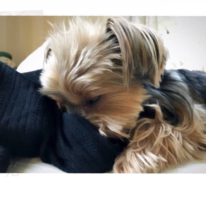 1a6a6dcb 7bb0 43bf 8192 c402844834b0