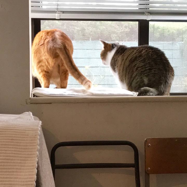 1a6ac83a 048e 439c 8594 f43f6bb00be8