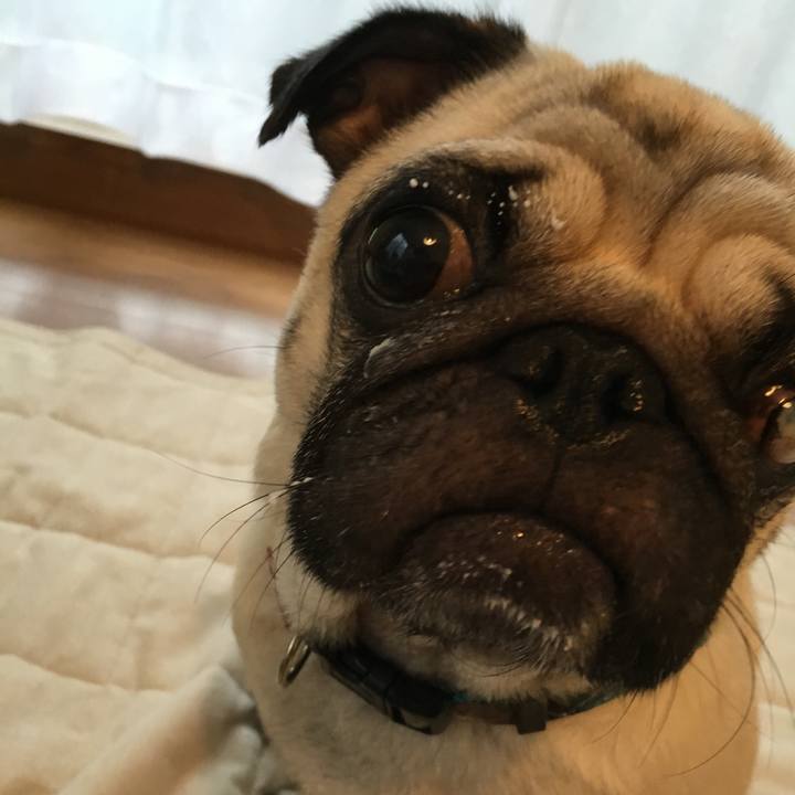 1a6ad629 5421 4d89 832c 9d1daa720abf