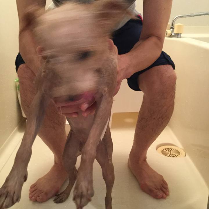 1a6b2d3d 679f 4dfa aace 5e544fedf65a