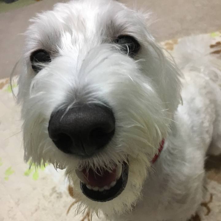 1a6b8668 ff4a 4a7e b10f 922e8eaaef86