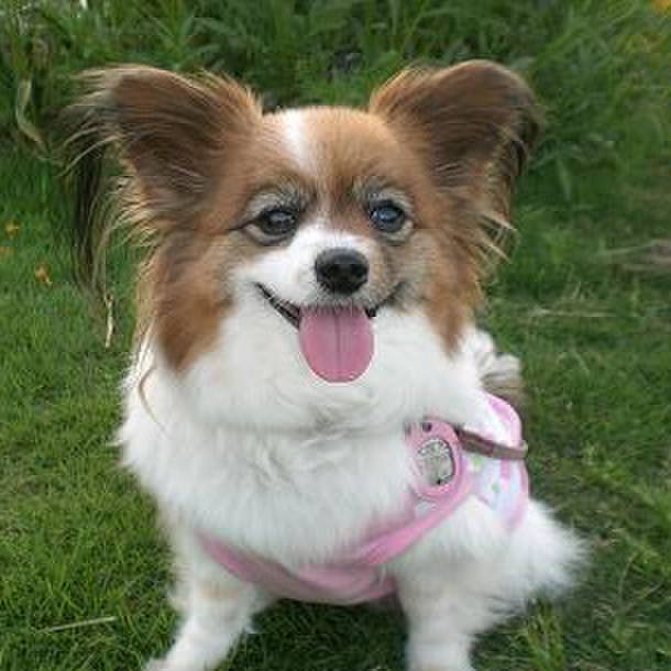 1a6b8776 1302 4322 9546 c5c369776c68