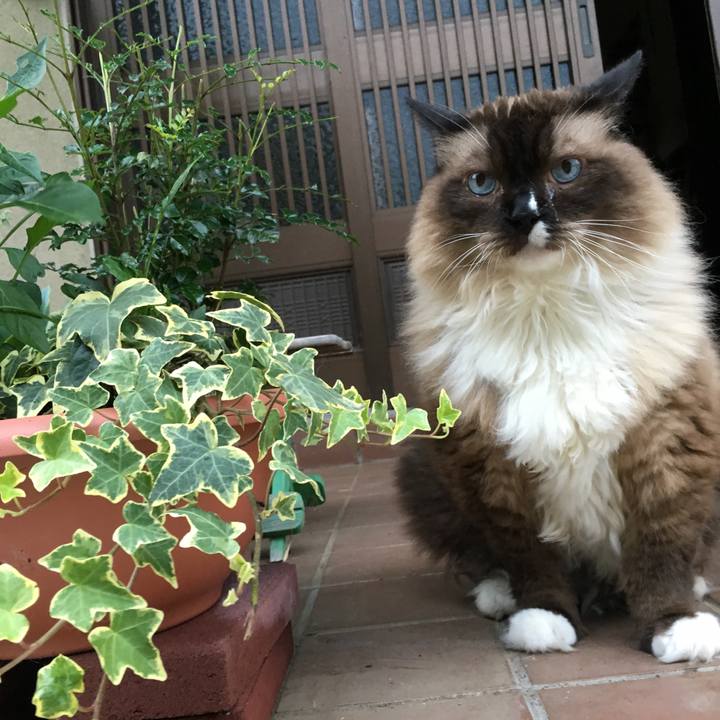 1a6c4605 8d49 4666 9c5a f3e5c6c3c377