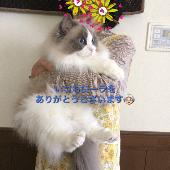 1a6c7081 565e 4183 a8d2 101847f23b61