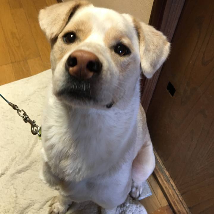 1a6c8e0b a768 493e b37d 1ec3b129253b