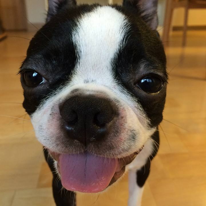 1a6caacd 8a7c 4878 adf5 497ee674d710