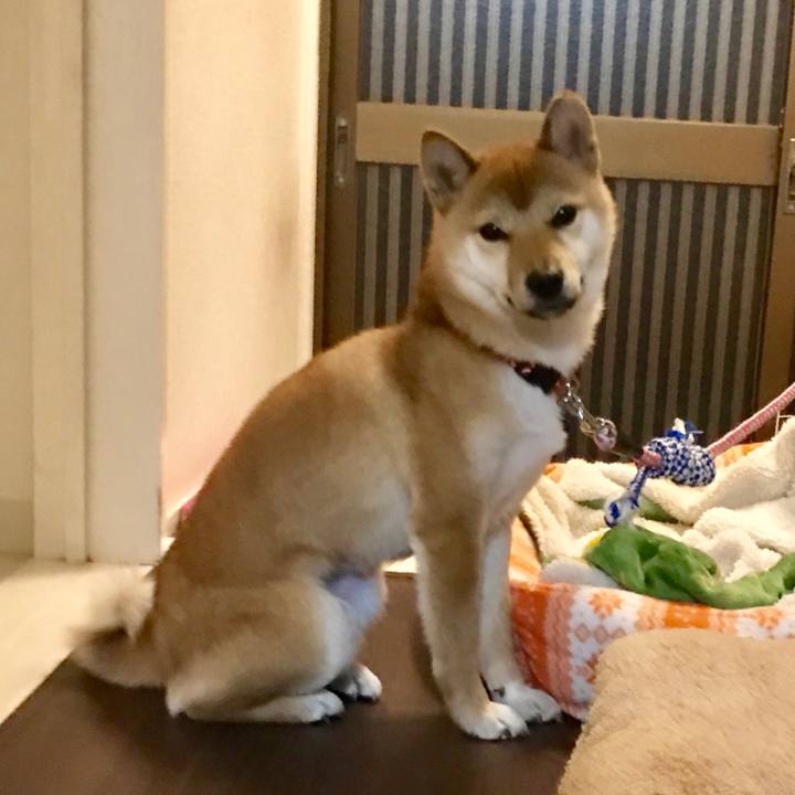 1a6cce2a 938a 4510 aecc a7c7e1710ced