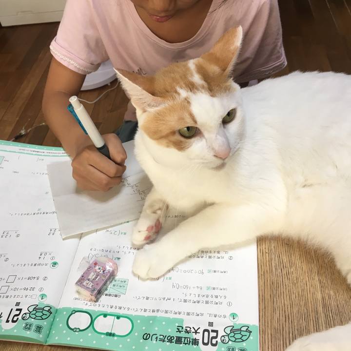 1a6ce935 2c6a 4dcf 86c3 d7866efc70ed