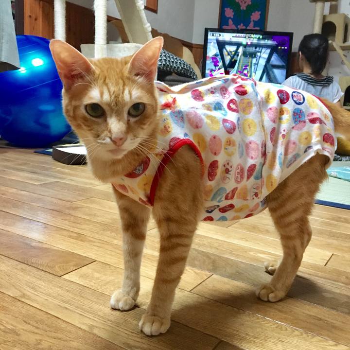 1a6d12ef 13d3 4e1a b715 a9b8c68cf707