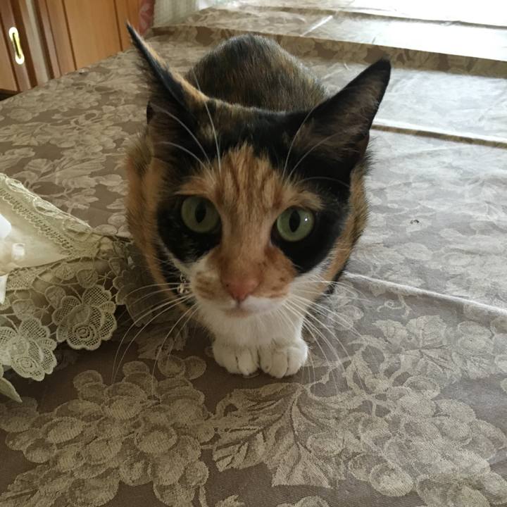 1a6ed8d4 fb88 4724 b5dd be71986bfd74