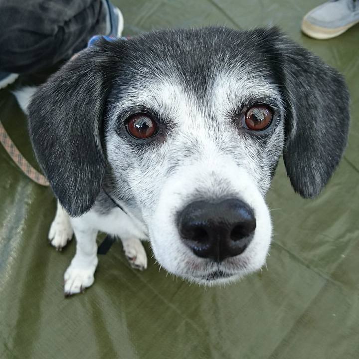 1a6efb7d 4c4a 495a bd10 9efd52fef020