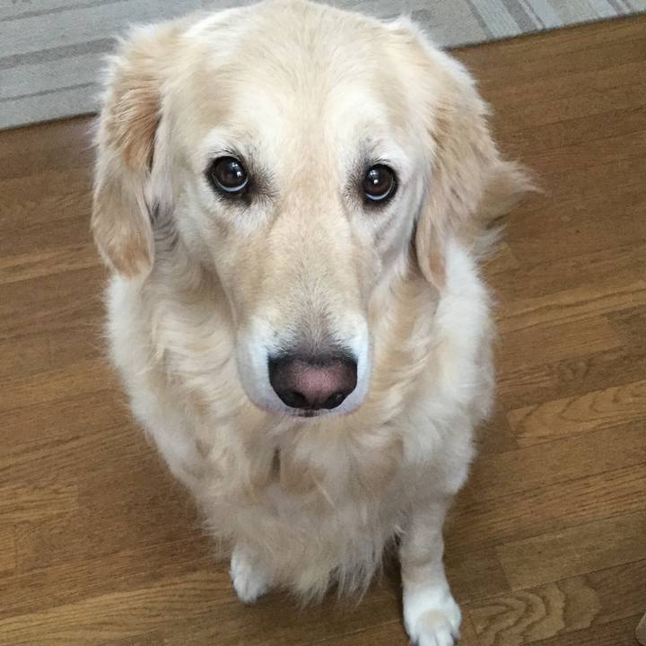 1a6f4831 c7fd 47f1 ac76 4286710dc0ee