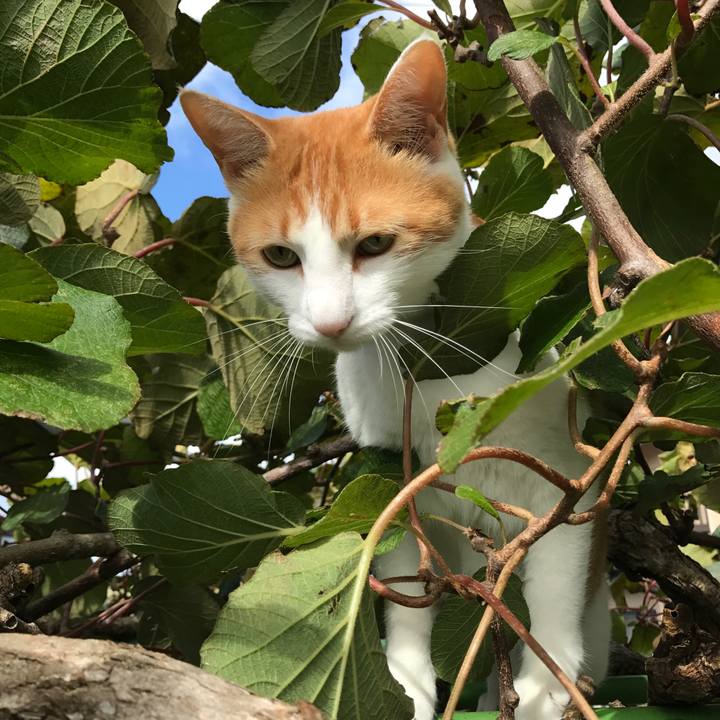 1a6fbf1e da08 4b88 9a38 b9d2e0895bc1