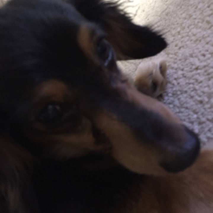 1a70e266 f069 42b4 b4ab 7f5a975d3cfe