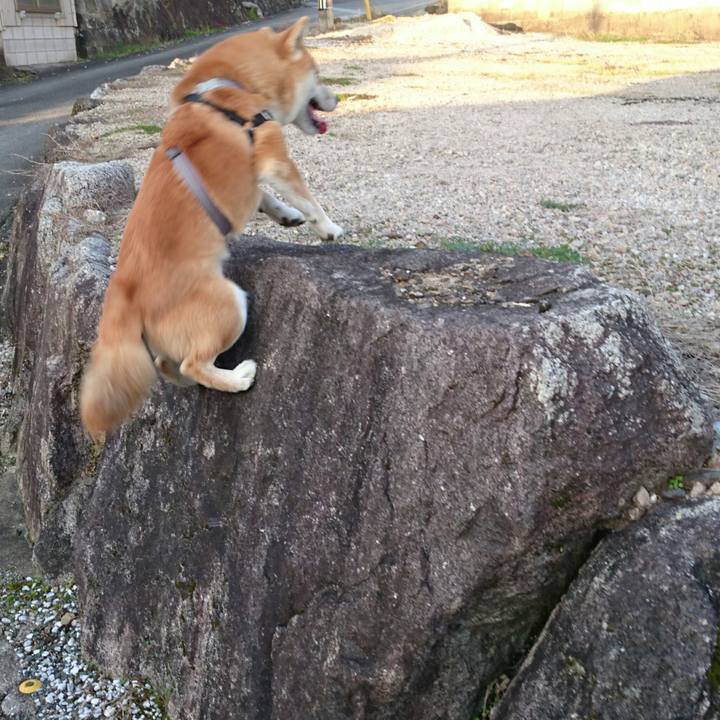 1a715823 ceb9 4cd8 b74f ba51d517a6fc