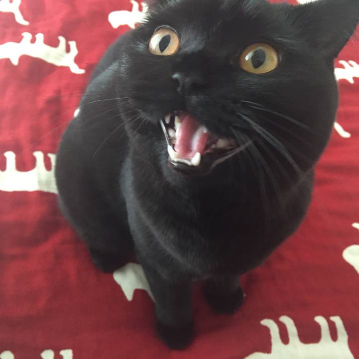 1a7183ea 0ad8 4ae6 ab0a 7e752a6626f4