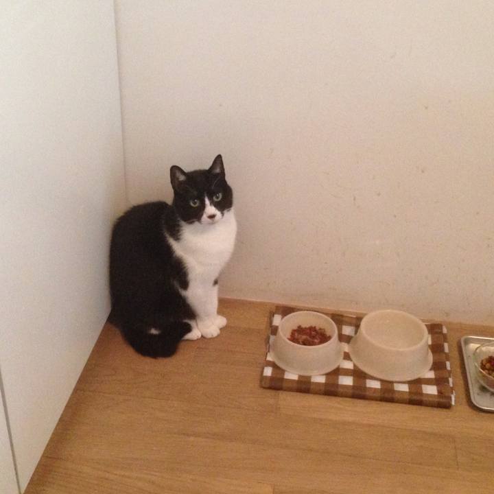 1a71a91e 15cb 4969 b4f5 bdde14f7bb24