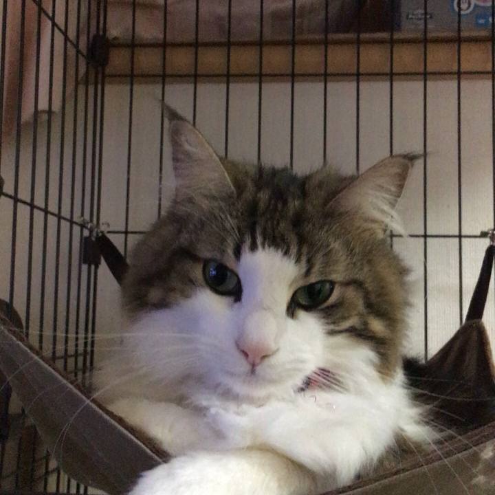 1a71a95d d7f5 4cf9 85be c9d39c2d1988