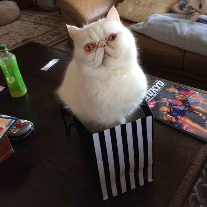 1a71bdc8 8a77 4ede a56b d37412cb5530