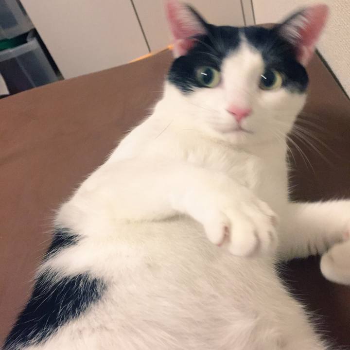 1a71f7ed bd75 4d78 96cd b6912aeafa1f