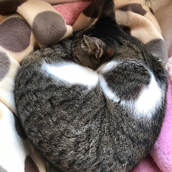 1a72506a b6bb 4c5b b26e e71544cf76f4