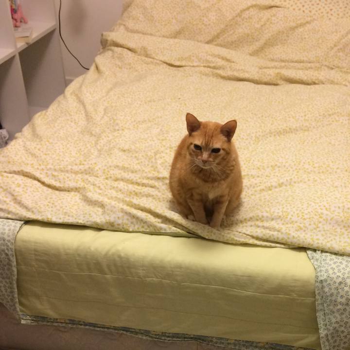 1a7293a4 d49a 490a a900 fb29a8bca826