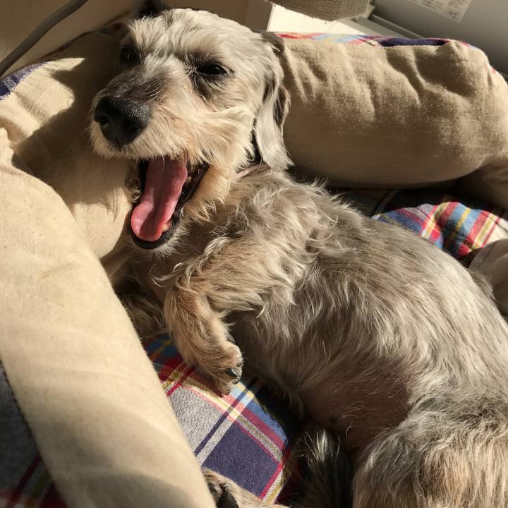 1a72b27c 850d 47eb 8195 d930321b5302