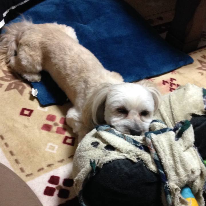 1a730d53 2a38 4d19 adb8 5add6674f7be