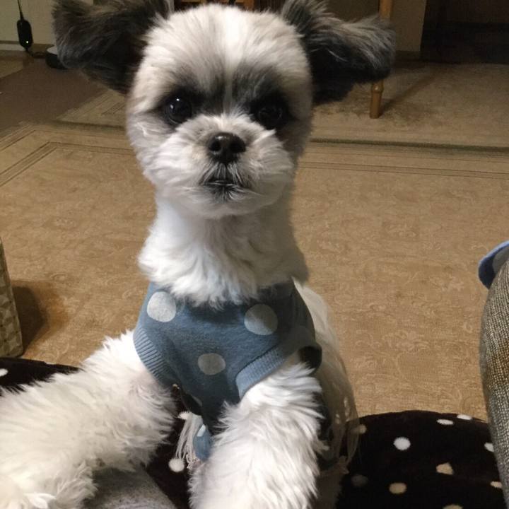 1a736037 e004 4c40 8601 c93a389bc842