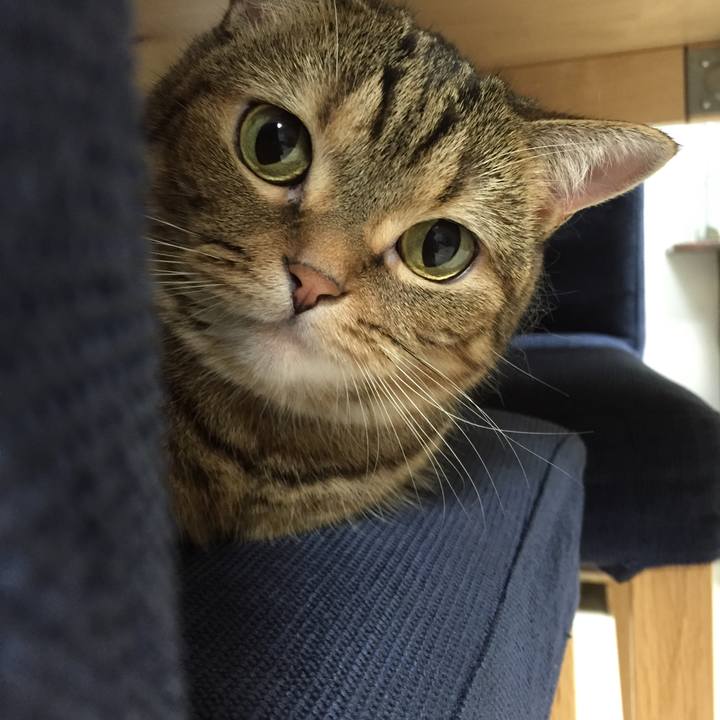 1a740baa 8114 45c8 81c4 2f140adc72e1